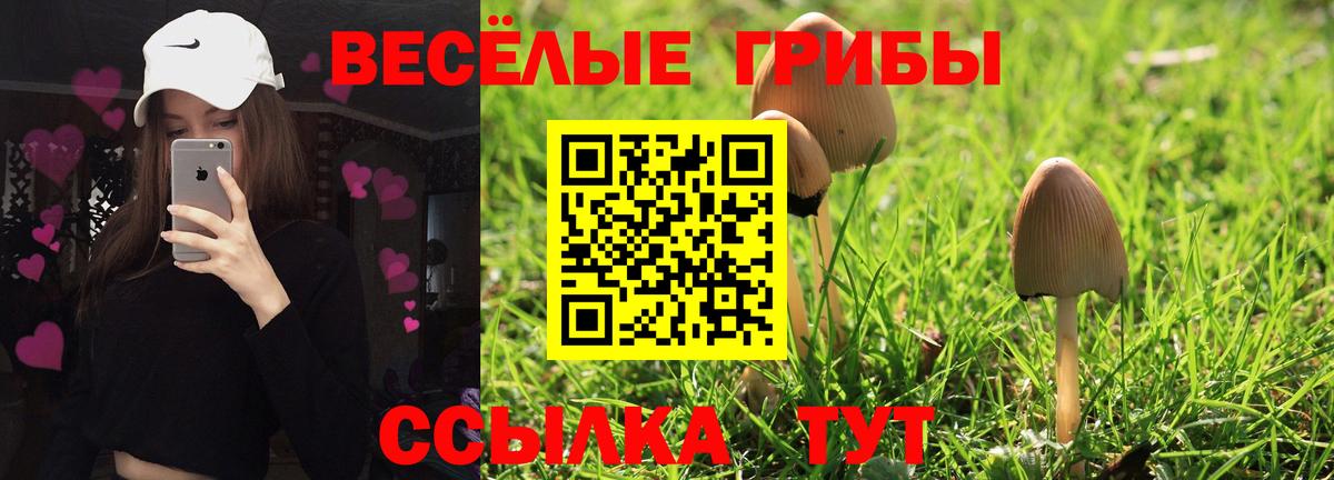Туймазы  купить   Вход с VPN  Галлюциногенные грибы Psilocybine cubensis 